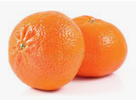 Ensalada de lechugas variadas y pepinillos con pulpo cocido y dos mandarinas.